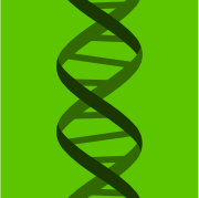 Genotype Homepage